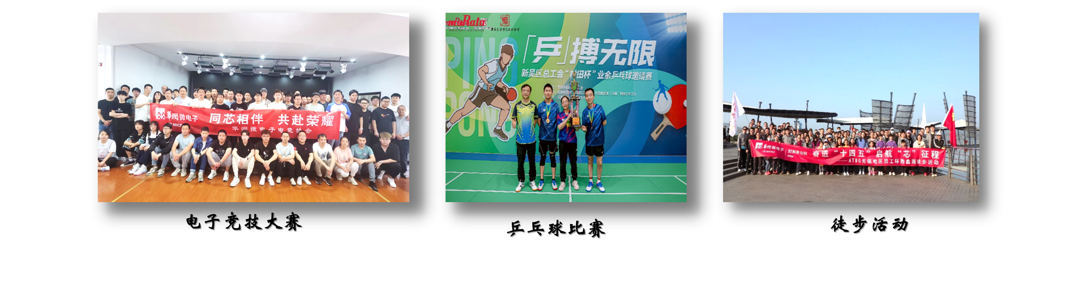 腾博会官网 - 诚信为本,专业效劳!